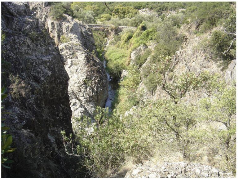 Χαλκιδική: Βιωματική περιβαλλοντική διαδρομή στο φαράγγι της Βατονίας