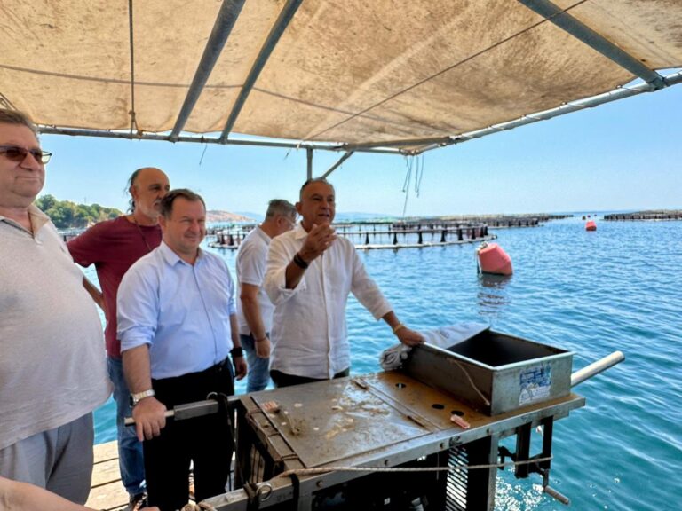 Θεσπρωτία – Χρ. Κέλλας: Η κυβέρνηση δίπλα στους παραγωγούς με πολιτικές που ενισχύουν την ανταγωνιστικότητα και την εξωστρέφεια