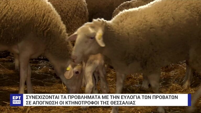 Λαϊκή Συσπείρωση Θεσσαλίας: Ευθύνες υπουργείου και περιφέρειας για την εξάπλωση της ευλογιάς στην περιοχή