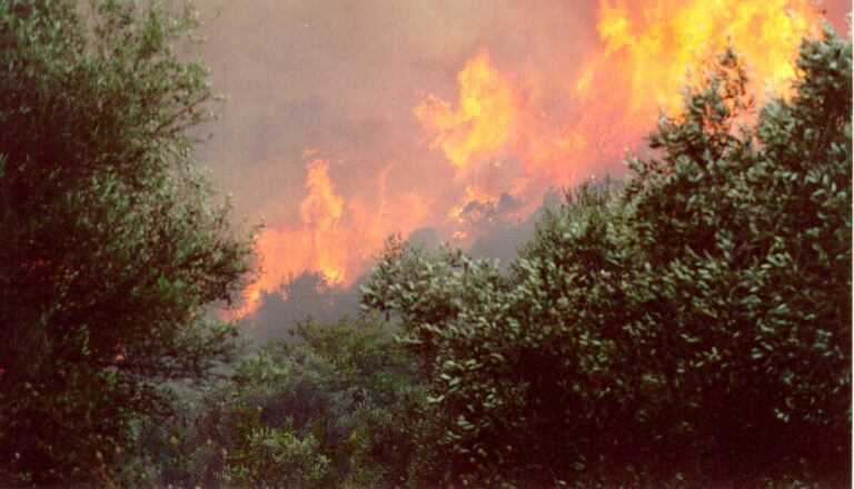 Φωτιά τώρα στον Αμμότοπο Άρτας – Ήχησε το 112