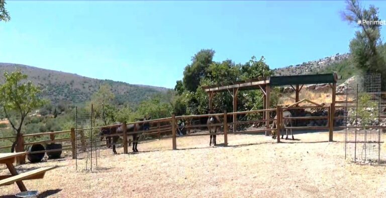 “Πιτυανό Γαϊδουροτόπι” ένα νέο βιωματικό πάρκο στην Χίο