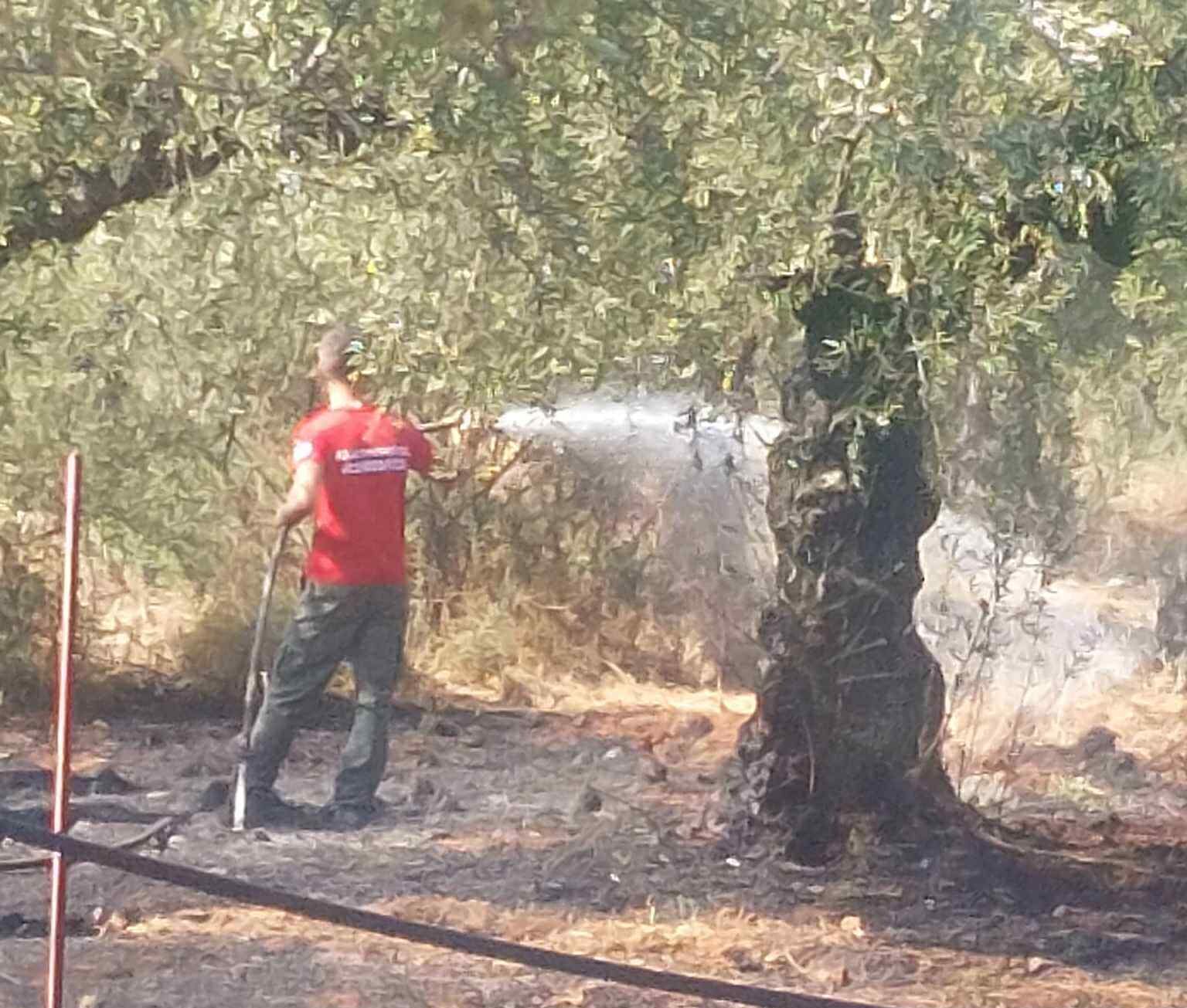 Καλαμάτα: Άμεση επέμβαση εθελοντών και πυροσβεστικής σε πυρκαγιά στα Αγριώματα