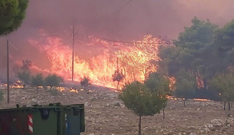 Φωτιά τώρα στην περιοχή Κοιλιωμένος Ζακύνθου