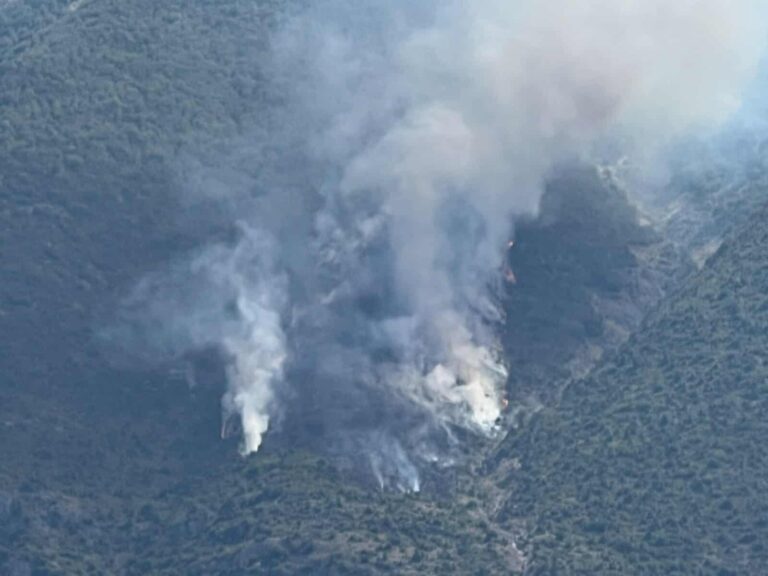 Φωτιά τώρα στο Γαρδίκι Θεσπρωτίας – Σηκώθηκαν εναέρια μέσα