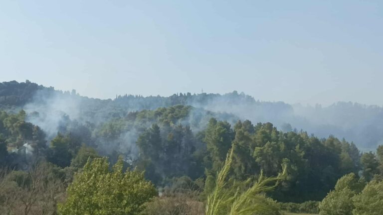 Σε ύφεση η πυρκαγιά στο Χελιδόνι Ηλείας – Ισχυρές δυνάμεις παραμένουν σε επιφυλακή (βίντεο)