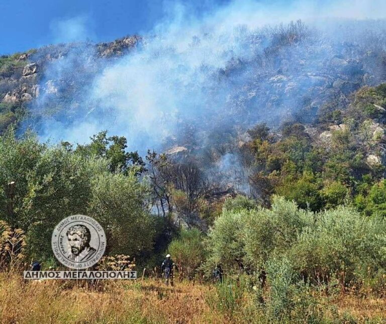 Χωρίς ενεργό μέτωπο η πυρκαγιά στο Λεοντάρι Μεγαλόπολης (βίντεο)