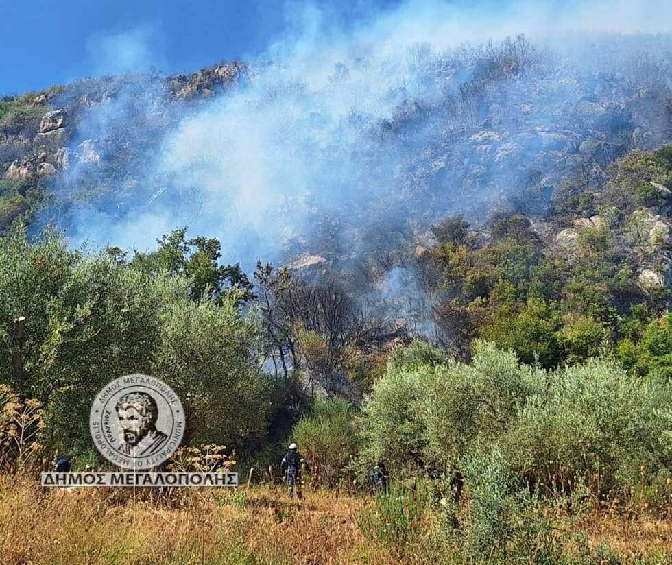 Χωρίς ενεργό μέτωπο η πυρκαγιά στο Λεοντάρι Μεγαλόπολης (βίντεο)