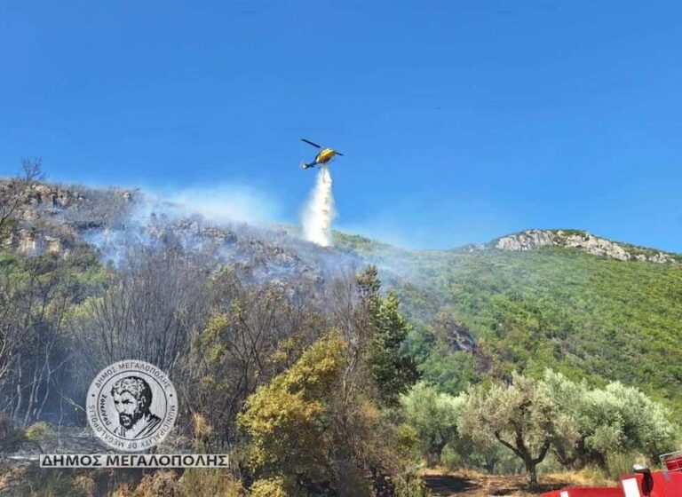 Πυρκαγιά σε δασική έκταση στο Λεοντάρι Αρκαδίας – Επιχειρούν ισχυρές δυνάμεις της Πυροσβεστικής