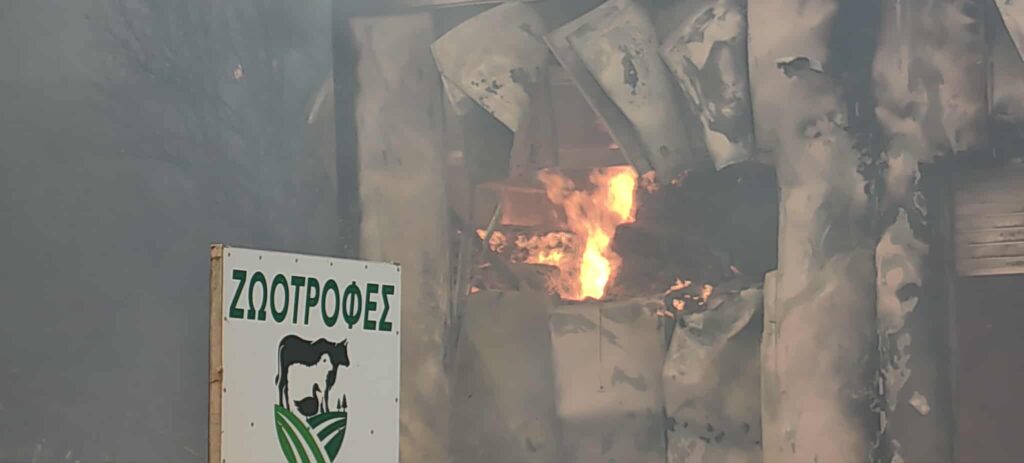 Φωτιά τώρα: Εκκενώσεις οικισμών στη Δυτική Αχαΐα με «112»  — Κάηκαν επιχειρήσεις – Ένας εγκαυματίας και δύο άτομα με αναπνευστικά προβλήματα στο νοσοκομείο – 11 εναέρια μέσα