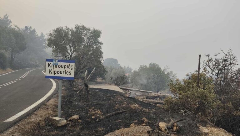 Χωρίς ενεργό μέτωπο η πυρκαγιά στη Χίο