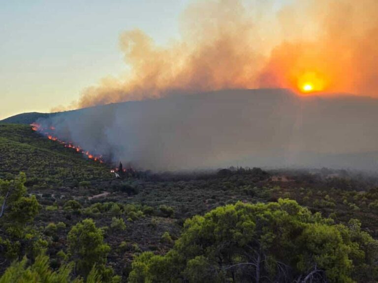Ζάκυνθος: Σε πλήρη εξέλιξη η πυρκαγιά σε δασική έκταση στον Αγαλά και το Κοιλιωμένο – Διαδοχικά 112 – Εκκένωση προς την πόλη της Ζακύνθου και το Μαχαιράδο (Βίντεο)
