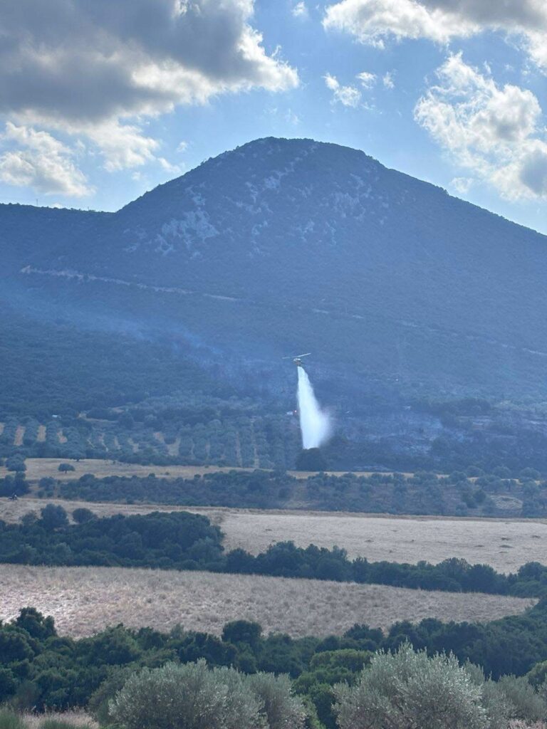 Υπό έλεγχο η φωτιά στην Πελεή Ερμιονίδας