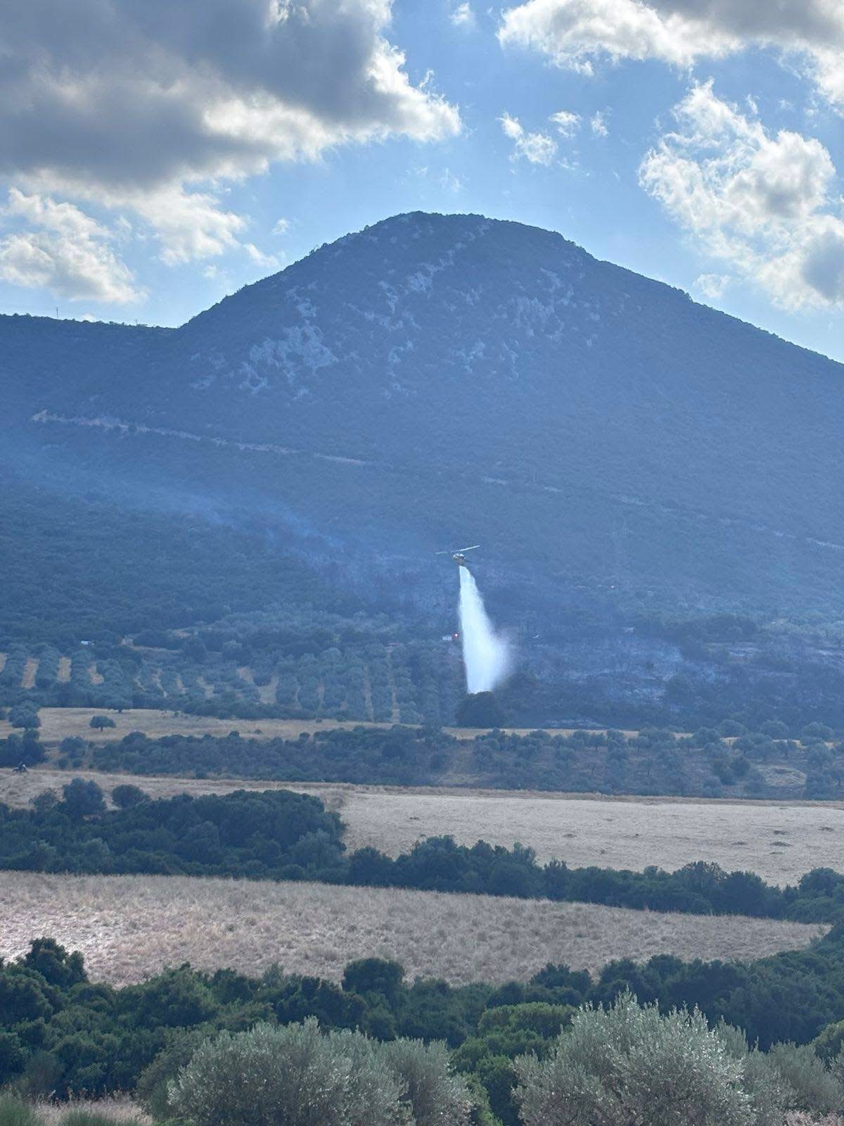 Υπό έλεγχο η φωτιά στην Πελεή Ερμιονίδας