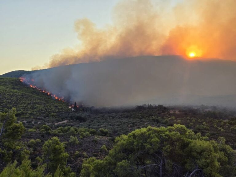 Φωτιά στη Βόλβη: Χωρίς ενεργό μέτωπο- Ισχυρές δυνάμεις της Πυροσβεστικής παραμένουν στο σημείο