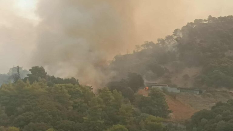 Πυρκαγιά τώρα στην Αχαΐα: Συνεχίζεται η μάχη στα πύρινα μέτωπα – Εκκενώνεται και ο Μπάλας – “Ο ήλιος δε φαίνεται, πυκνός καπνός έχει σκεπάσει τα πάντα”