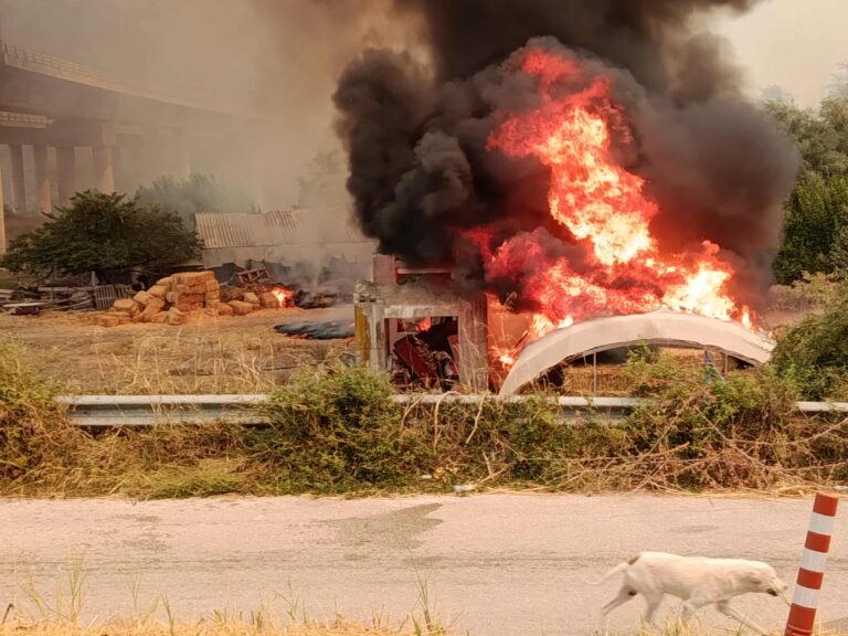 Πυρκαγιά τώρα στην Αχαΐα: Συνεχίζεται η μάχη στα πύρινα μέτωπα – Εκκενώνεται και ο Μπάλας – “Ο ήλιος δε φαίνεται, πυκνός καπνός έχει σκεπάσει τα πάντα”