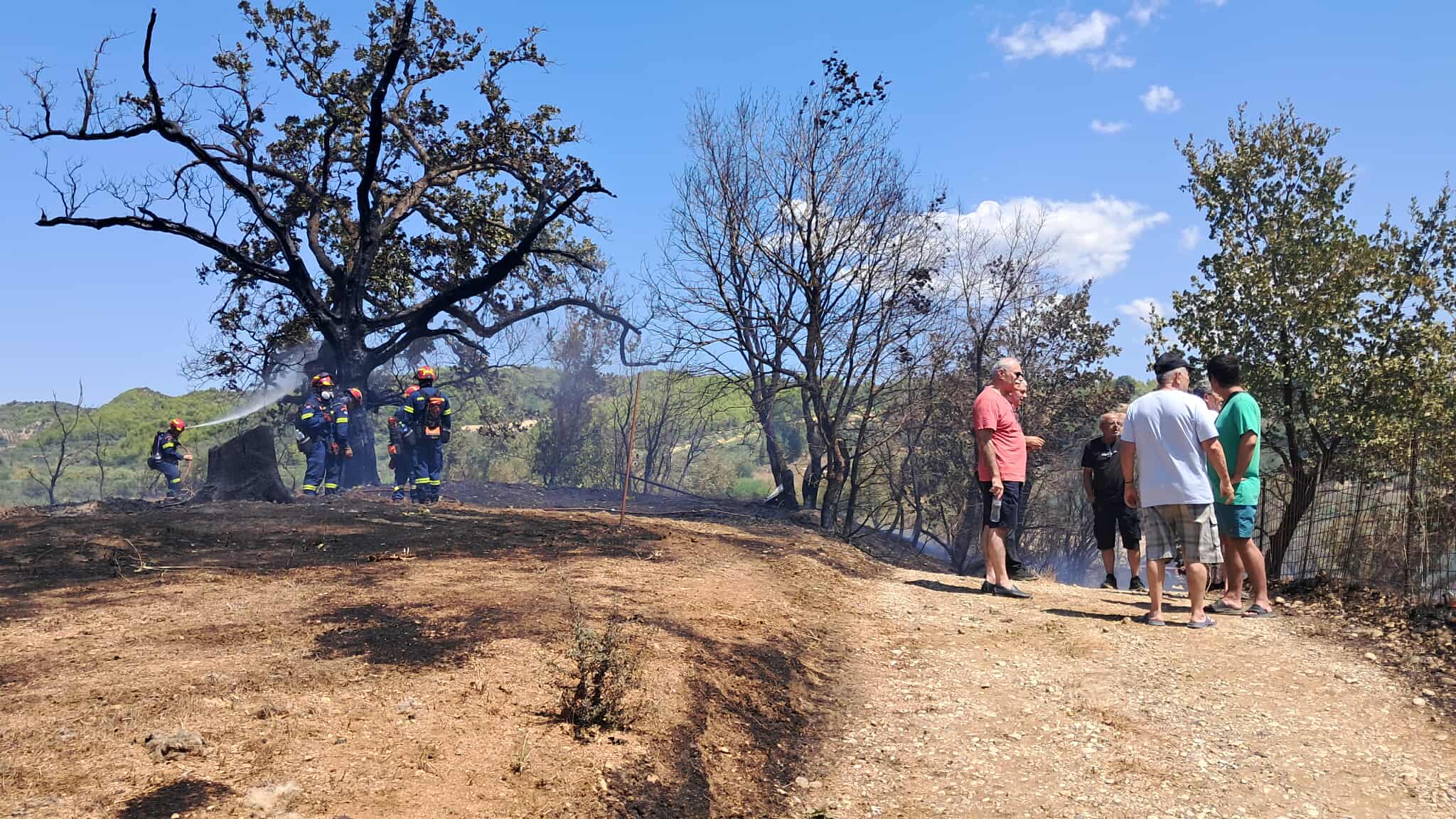 Οριοθετήθηκε άμεσα η φωτιά στον Ελαιώνα Πύργου