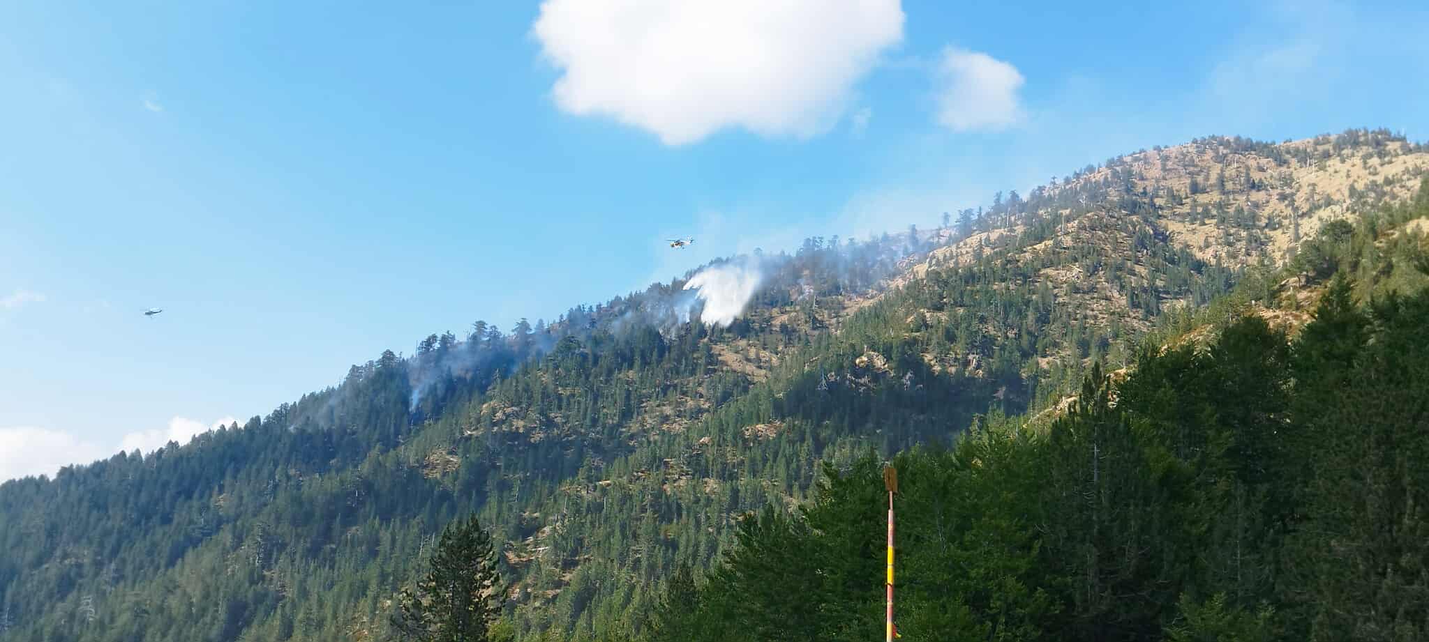 Καλύτερη η εικόνα της φωτιάς στον Εθνικό Δρυμό της Βάλια Κάλντα – Αποφεύχθηκε η εξάπλωσή της