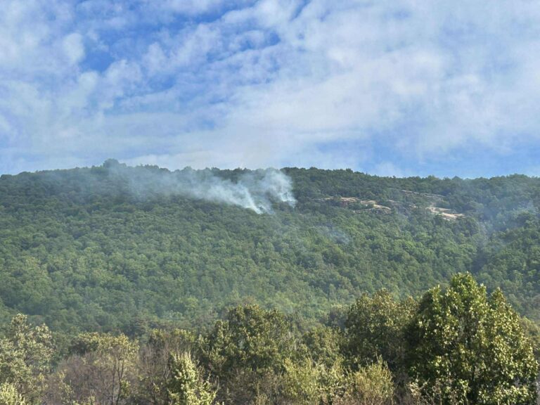 Οριοθετήθηκε η δασική πυρκαγιά στο Μακροχώρι Καστοριάς – Διάσπαρτες εστίες σε δύσβατα σημεία