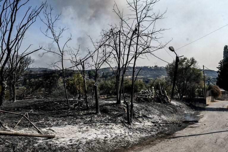 Πρώτη αποτίμηση των πυρκαγιών στην Ήπειρο από το Περιφερειακό Συμβούλιο
