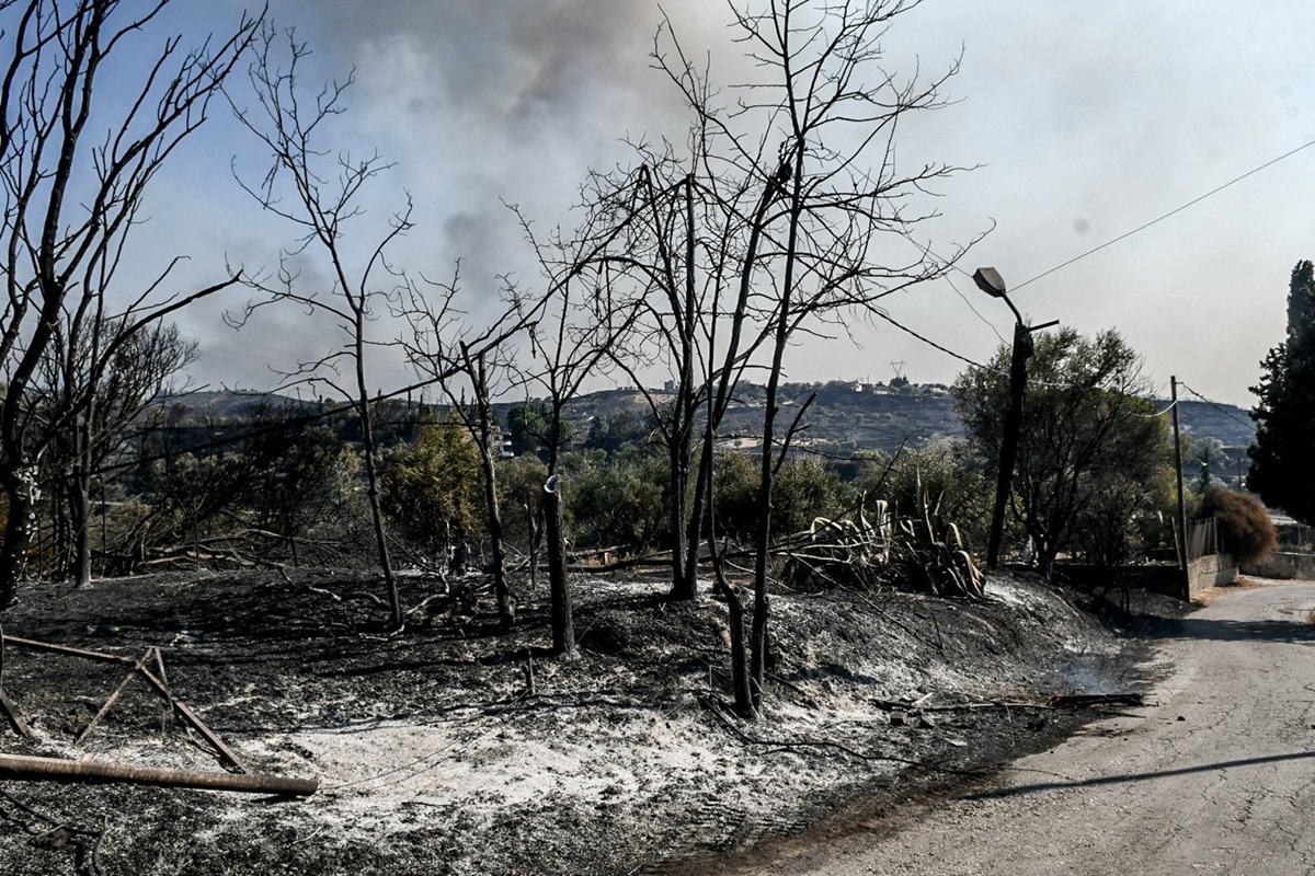 Πρώτη αποτίμηση των πυρκαγιών στην Ήπειρο από το Περιφερειακό Συμβούλιο