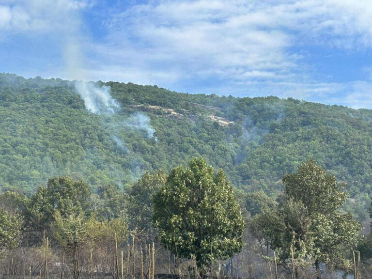 Ενδείξεις εμπρησμού για την πυρκαγιά στο Μακροχώρι Καστοριάς
