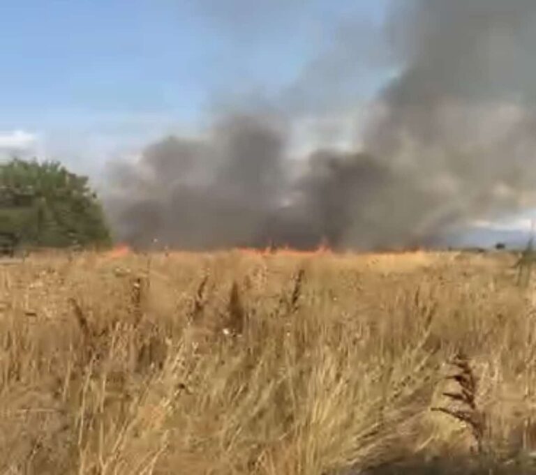 Υπό έλεγχο η φωτιά σε αγροτική έκταση στο Άργος Ορεστικό