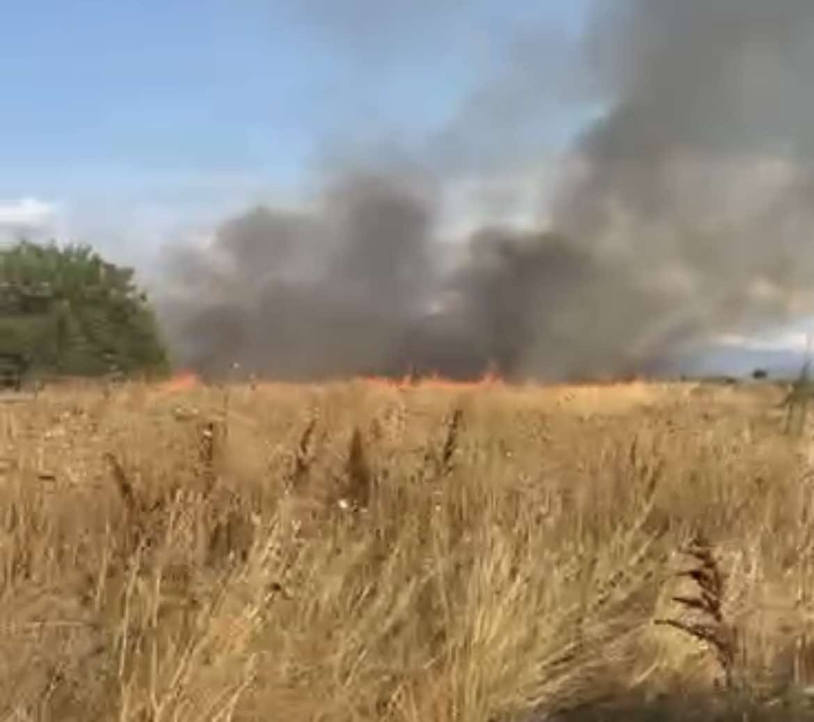 Υπό έλεγχο η φωτιά σε αγροτική έκταση στο Άργος Ορεστικό
