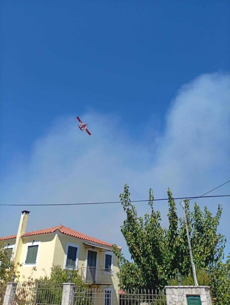 Μεσσηνία: Χωρίς ενεργό μέτωπο η φωτιά στον Μελιγαλά – Δύο προσαγωγές
