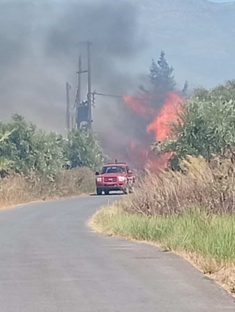 Σε ύφεση οι πυρκαγιές σε Τροιζήνα, Μελιγαλά και Πρέβεζα – Συνεχείς ρίψεις από αέρος