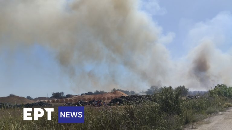 Σε ύφεση η φωτιά στην Αρετή Λεχαινών