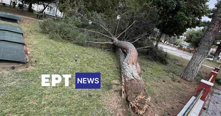 Γρεβενά – Κοζάνη: Χωρίς ρεύμα λόγω των ισχυρών ανέμων πολλά χωριά – Οριοθετήθηκαν οι φωτιές