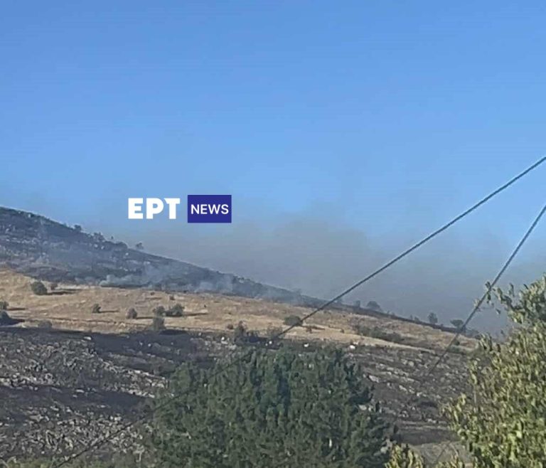 Σε εξέλιξη η φωτιά στη Νέα Νικόπολη Κοζάνης (βίντεο)
