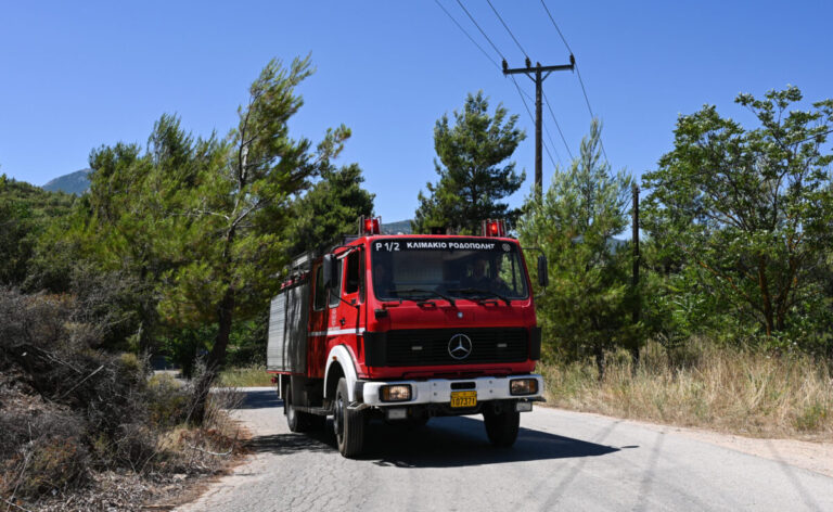 Κοζάνη: Φωτιά στο άλσος Κουρί Κοζάνης – Άμεση κινητοποίηση της Πυροσβεστικής
