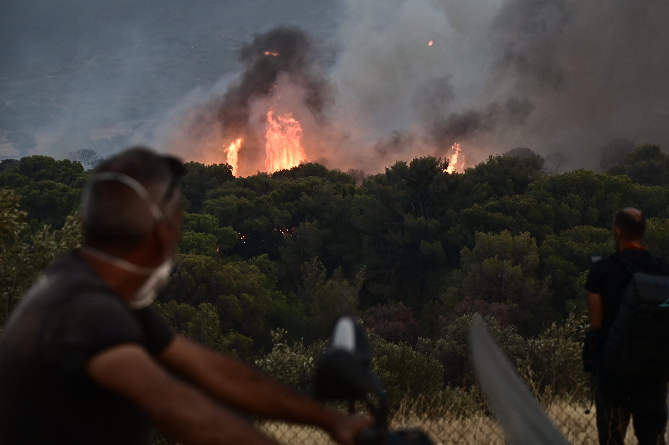 Φωτιά τώρα στην Κερατέα: Οι τελευταίες κυκλοφοριακές ρυθμίσεις από την τροχαία λόγω της μεγάλης πυρκαγιάς