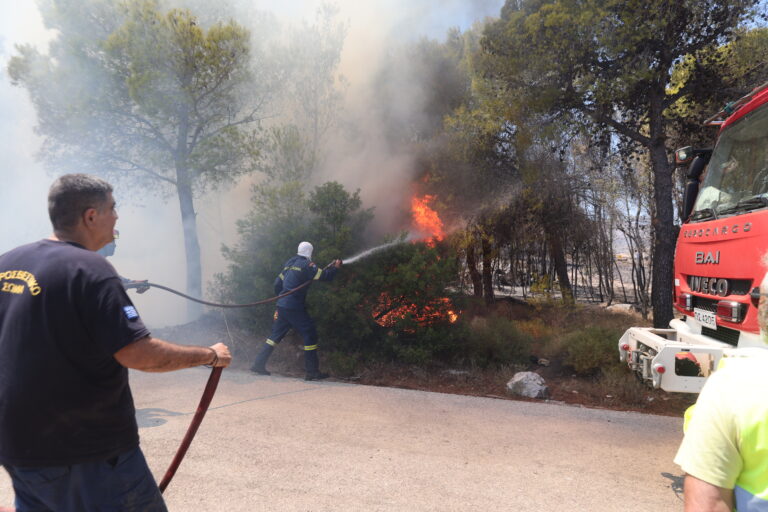 Φωτιά- τώρα: Συνεχίζεται η μάχη με τις φλόγες με στόχο την αντιμετώπιση των αναζωπυρώσεων