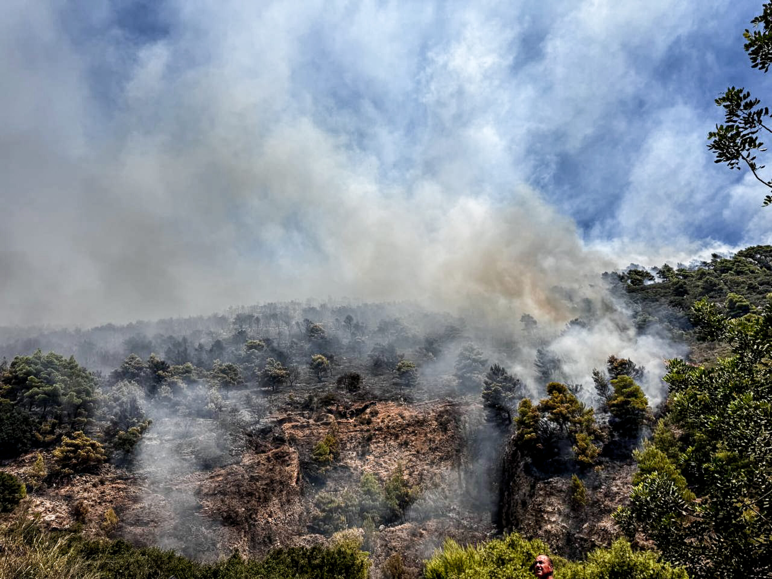 Λασίθι: Οριοθετήθηκε η φωτιά στη Σητεία έπειτα από πέντε ώρες