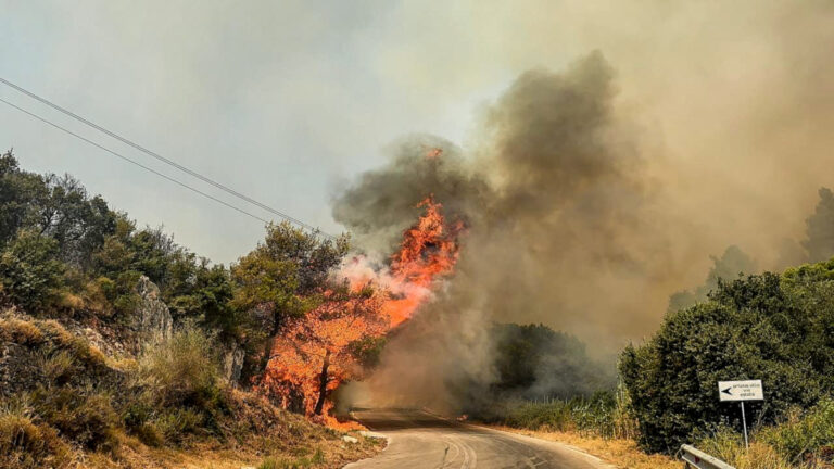 Κ. Τσίγκας στο ΕΡΤΝews: 320 άτομα έχουν συλληφθεί από την αρχή του χρόνου για πρόκληση πυρκαγιών – Οι 40 από αυτούς με πρόθεση