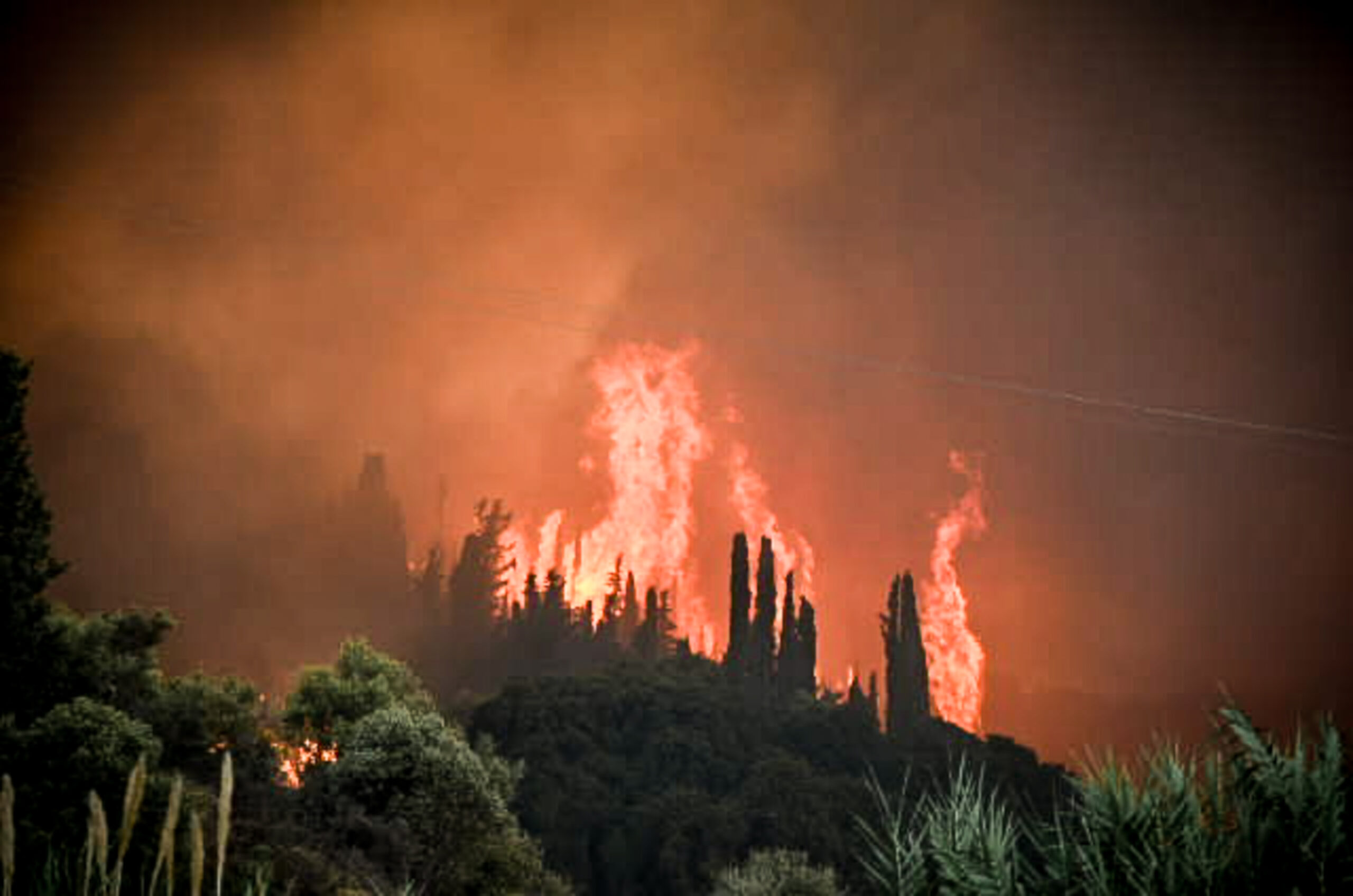 [379699] ΠΥΡΚΑΓΙΑ ΣΤΗΝ ΠΕΡΙΟΧΗ ΜΟΙΡΑΙΪΚΑ ΤΗΣ ΠΑΤΡΑΣ     
(EUROKINISSI)