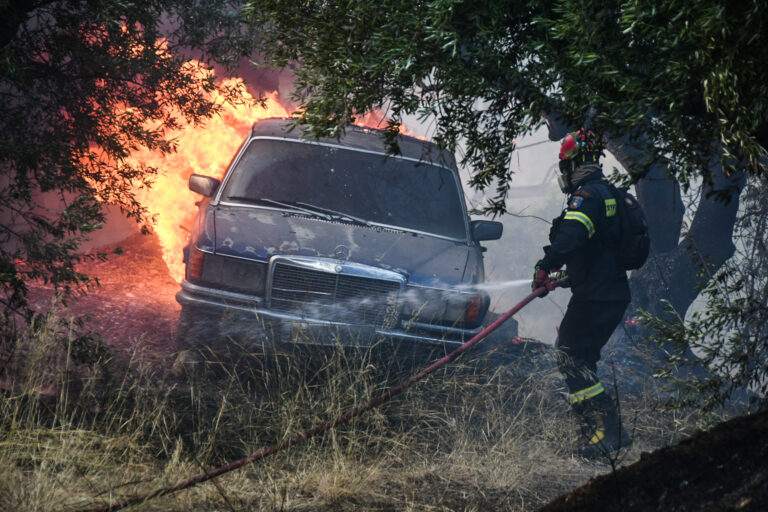 Φωτιά τώρα: Αναζωπυρώσεις και νέα 112 σε Αχαΐα, Κεφαλονιά, Πρέβεζα – Το ΕΡΤΝews στην πρώτη γραμμή – LIVE
