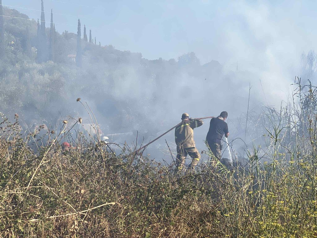 Μεσσηνία: Χωρίς ενεργό μέτωπο η φωτιά στον Μελιγαλά – Δύο προσαγωγές