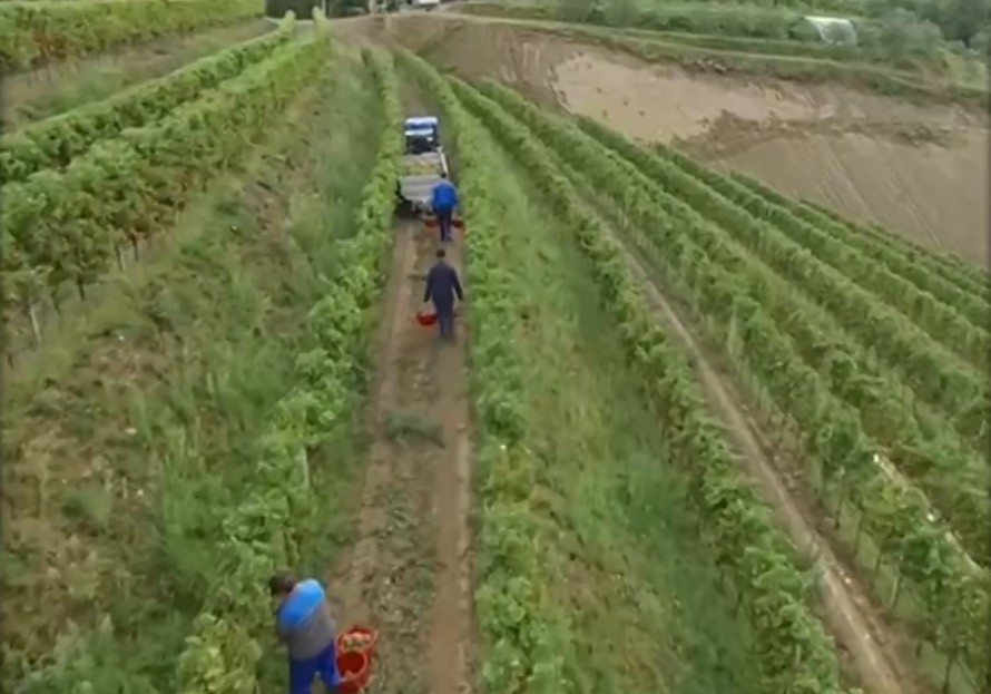 Αμύνταιο: Σύσκεψη αγροτών το Σάββατο 15 Νοεμβρίου