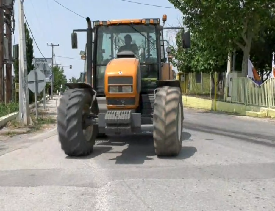 agrotes1