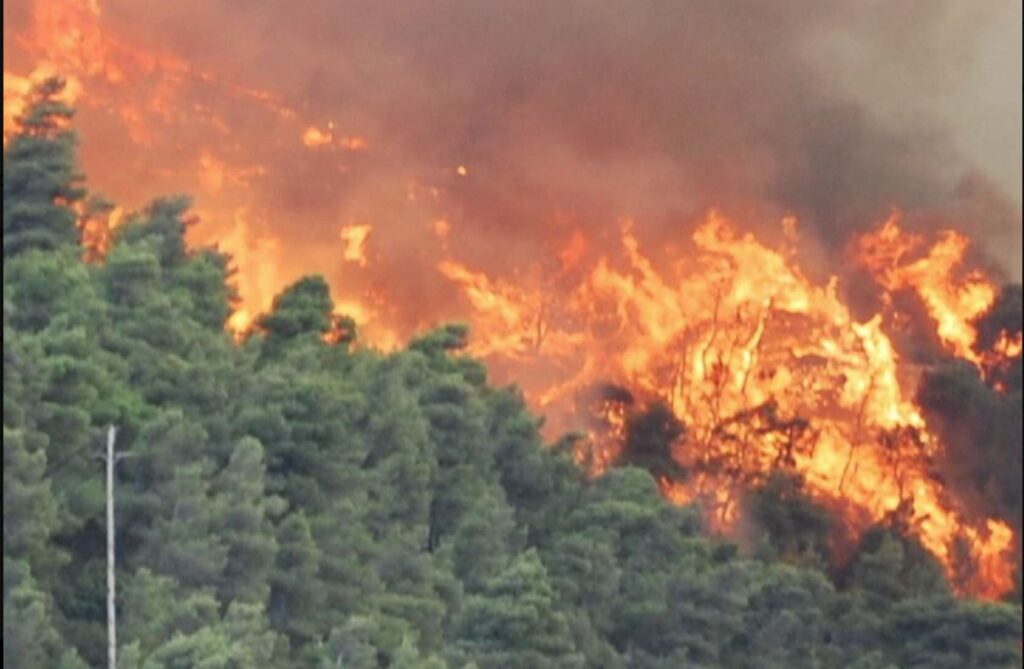 Ένοχος για εμπρησμό από αμέλεια ο 20χρονος για τη φωτιά στη Βρίσα