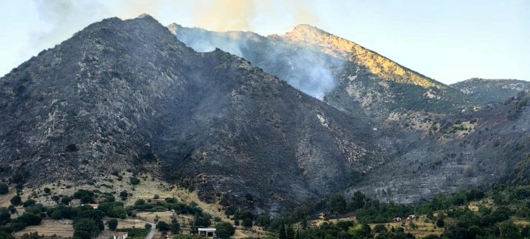 Χωρίς ενεργό μέτωπο η φωτιά στο Λιβάρτζι Αχαΐας – Τις αναζωπυρώσεις αντιμετωπίζει η Πυροσβεστική