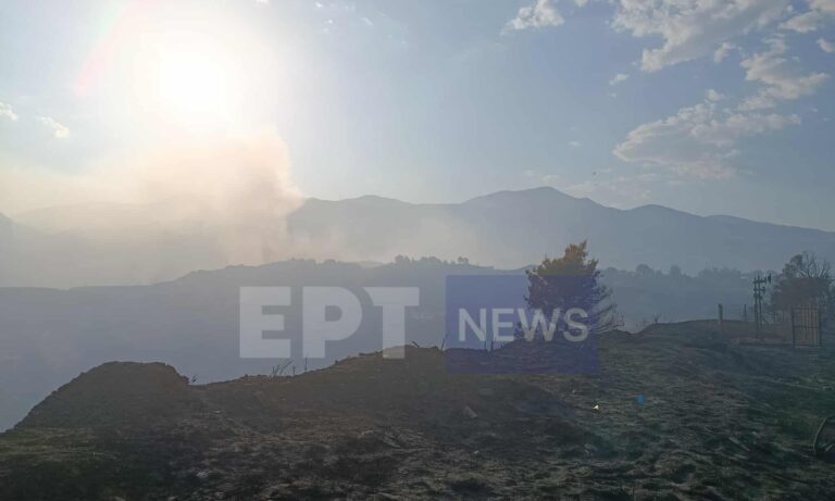 Φωτιά τώρα: Συνεχίζεται η μάχη με διάσπαρτες εστίες στην Αχαΐα – Στο Ρωμανό το ενεργό μέτωπο