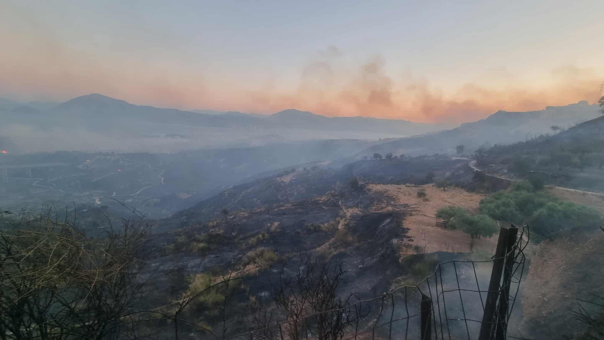 Γρεβενά: Φωτιά τώρα στον Εθνικό Δρυμό της Βάλια Κάλντα