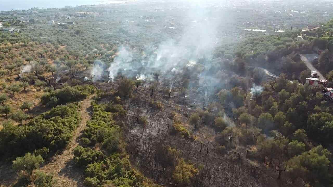 Καλαμάτα: 20 στρέμματα έκαψε η φωτιά στα Αγριώματα – «Έγλυψε» αυλές σπιτιών (βίντεο)