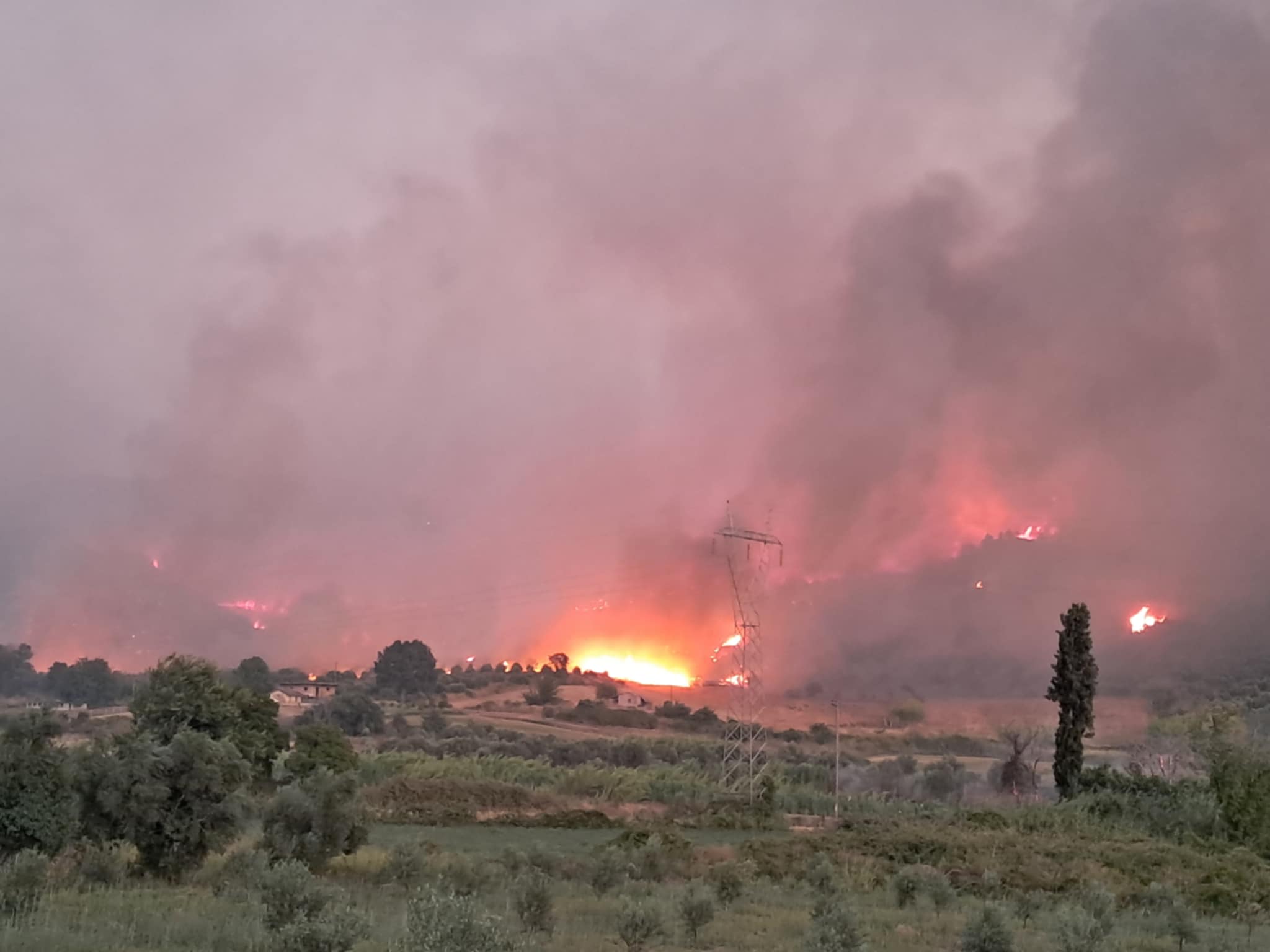 Εμπρησμό από πρόθεση «βλέπει» η Πυρoσβεστική στην πυρκαγιά του Χελιδονίου Ολυμπίας