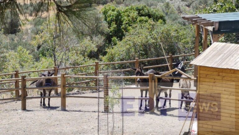 Χίος: Εγκαινιάζεται το «Πιτυανό γαϊδουροτόπι»